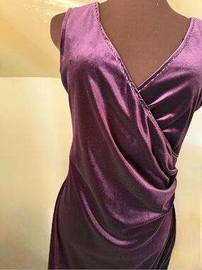 Muse Plum Velvet Draped at knee Dress